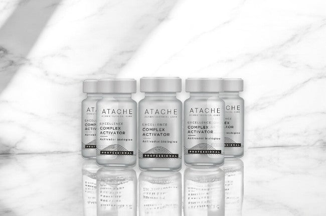 Excellence profesional de Atache