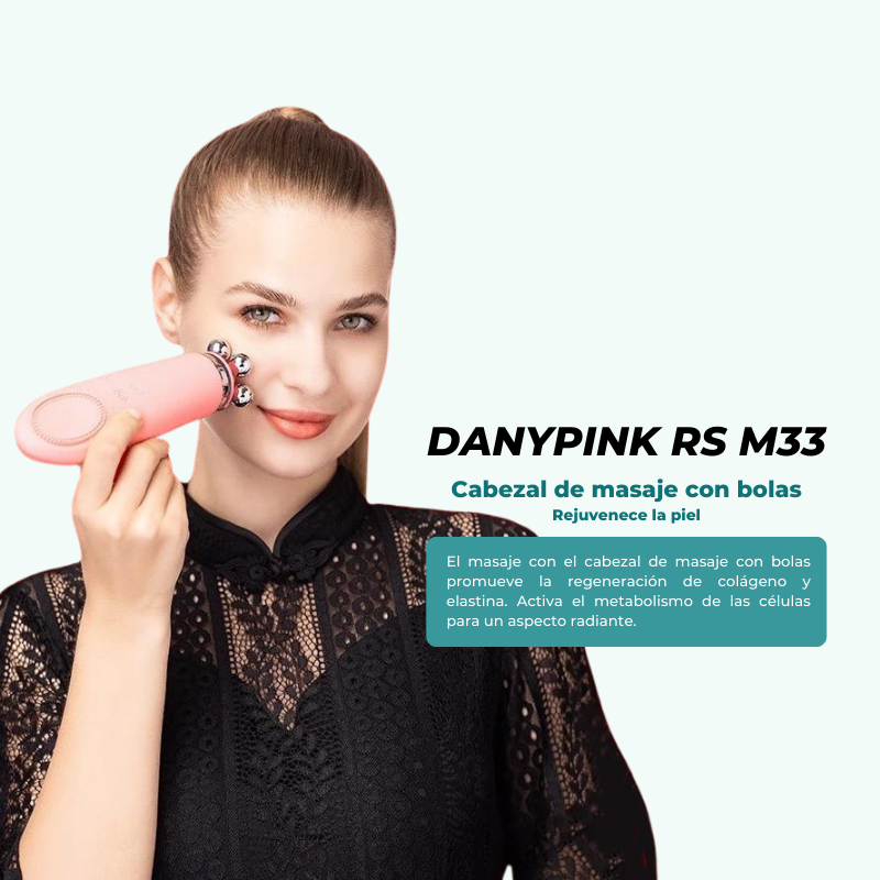 Danypink RS M33: detalle del equipo (detalle 5)